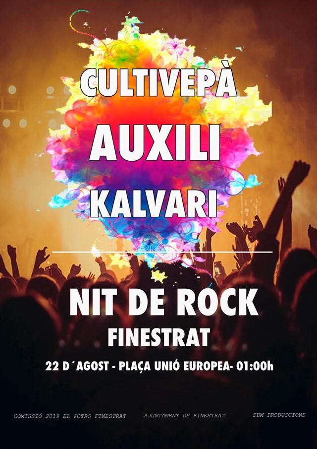 Nit de rock